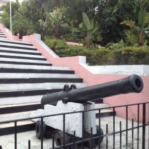 Meet your Posher, Wayne